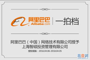 上海及周边企业如何高效代理申请进出口经营权与记账服务？易登网帮您一步到位